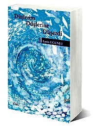 Düşlerim Düşlerine Düşerdi kapağı